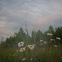 ���� ������, �������� - ��������� 16 ������� 2012 � ������ �������