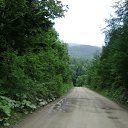 ���� �����, �������, 48 ��� - ��������� 21 ������� 2012 � ������ �222�