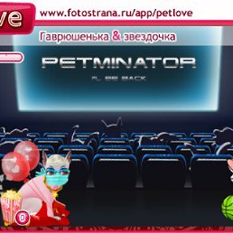 ���� ������ ��������, ������, 42 ���� - ��������� 26 �������� 2010