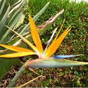 ���� �������, ������, 67 ��� - ��������� 3 ������� 2011