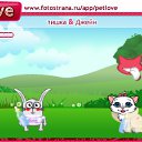  , --, 44  -  25  2011   PetLove