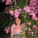 ���� �����, ������������, 56 ��� - ��������� 9 ������ 2012 � ������ ���� ����������