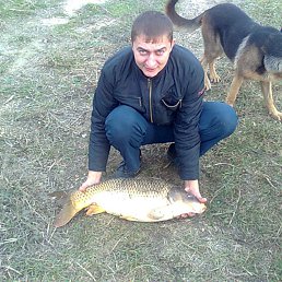 ���� ���, �����������, 48 ��� - ��������� 29 ������� 2012