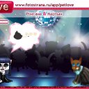 ���� �����, ����� ���, 41 ��� - ��������� 30 ������� 2010 � ������ �PetLove�