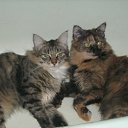 ���� ����, ��������, 50 ��� - ��������� 17 ������� 2009 � ������ ���, ��� � ���� �����...�