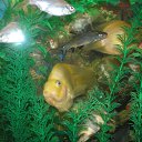 ���� ����, ������ - ��������� 22 ������� 2012 � ������ ���� ��������� �� ���������� �����!!!�