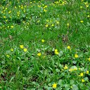 ���� �����, �����, 35 ��� - ��������� 13 ���� 2012 � ������ ���� ����������