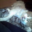 ����� � ����� �� ������� ���� �����