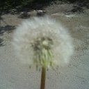 ���� ������, �����-���������, 38 ��� - ��������� 21 ������ 2012 � ������ �������