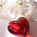 ���� ���������, ������ - ��������� 18 ���� 2013 � ������ ��������