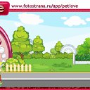 ���� �����, �����, 44 ���� - ��������� 4 ���� 2011 � ������ �PetLove�