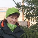 ���� ������, ���� - ��������� 24 ��� 2013 � ������ ���� ����������