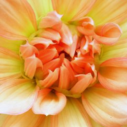 ���� Fomka, ������, 40 ��� - ��������� 23 ������ 2010