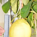 ���� ������, �����������, 56 ��� - ��������� 6 ����� 2013 � ������ �� �� ������