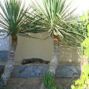 ���� ������, ������, 59 ��� - ��������� 19 ������� 2012 � ������ �������