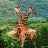 ���� ��������, ������ �����, 46 ��� - ��������� 6 ��� 2012