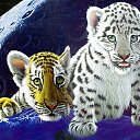 ���� ����, ������ - ��������� 17 ������ 2012 � ������ ������