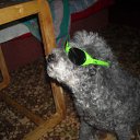 ���� �����, ��������������, 46 ��� - ��������� 18 ������ 2010 � ������ ��������� �����