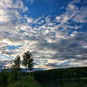  , , 75  -  25  2013   .  