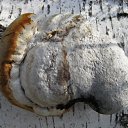 ���� ���������, ���������� - ��������� 23 ������� 2010 � ������ �������������Ż