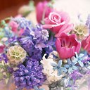 ���� ����� - ���������� ��������!!!, �����������, 56 ��� - ��������� 16 ������ 2010 � ������ ������ۻ