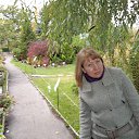 ���� ������ ��������, ������, 41 ��� - ��������� 2 ���� 2013 � ������ ���� ����������