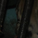 ���� �������, �������, 38 ��� - ��������� 28 ������ 2010 � ������ ������� �����!!!�