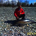  , , 53  -  27  2012   Foto Sympathy