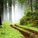 ���� ��������, ����������, 53 ���� - ��������� 16 ������� 2008