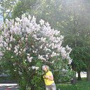 ���� ˸��, ������, 85 ��� - ��������� 4 ���� 2009 � ������ �������