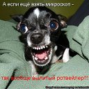 ���� �������, ������, 71 ��� - ��������� 2 ������ 2011 � ������ ���� �������� �����������