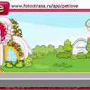 ���� ���������, �����, 39 ��� - ��������� 26 ������ 2010 � ������ �PetLove�