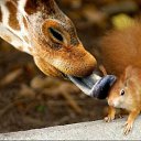 ���� ����, �����������, 40 ��� - ��������� 2 ����� 2012 � ������ �������