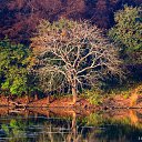 ����� �� ������� ���� ����������