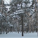 ������ ���� ����-��������� �� ������� ���������