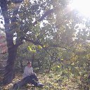 ���� ������� ����������, ���������, 64 ���� - ��������� 8 ����� 2013 � ������ ���� ����������