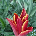 ���� Yiwangna***, ������ - ��������� 14 ��� 2013 � ������ ���������� ����� �������...�