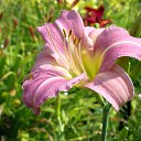 ���� ���������, �����, 50 ��� - ��������� 22 ������ 2010