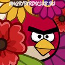 ���� ����, ������, 25 ��� - ��������� 19 ����� 2012 � ������ �PetLove�