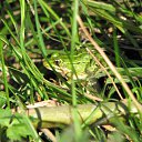 ���� �����, ��������, 45 ��� - ��������� 3 ������� 2010 � ������ ����� �������