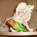 ��� ��������! �� ������� ���� ��������