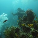 ���� ����, ��������, 45 ��� - ��������� 12 ������ 2012