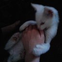 ���� ���4o���(�4-jb)������� �� �����, �����������, 28 ��� - ��������� 5 ������� 2011 � ������ ������....� ��� �� ���