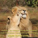 ���� ������, �����-��������� - ��������� 7 ���� 2011 � ������ ��������� �������