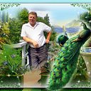 ���� ������, ����������, 53 ���� - ��������� 13 ����� 2012 � ������ ���� ����������