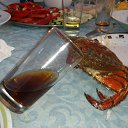 SEA FOOD PARTY �� ������� ���� ����������