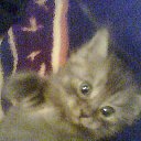 ���� Inyska (����), ������ �������� - ��������� 27 ������ 2013 � ������ ���� ����������