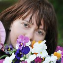 ���� ��������, ������, 51 ��� - ��������� 23 ���� 2013