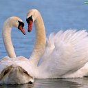 ���� ������, ����������, 49 ��� - ��������� 13 ��� 2012 � ������ ���� ����������