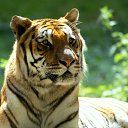 ���� ������, ������, 46 ��� - ��������� 16 �������� 2011 � ������ �������